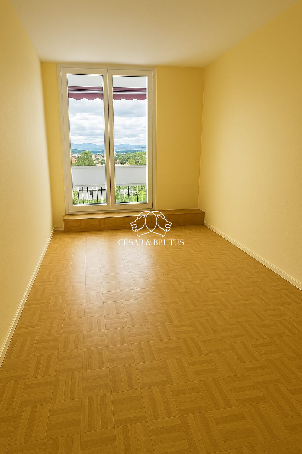 Vente Appartement T3 TASSIN LA DEMI LUNE Tassin-la-demi-lune