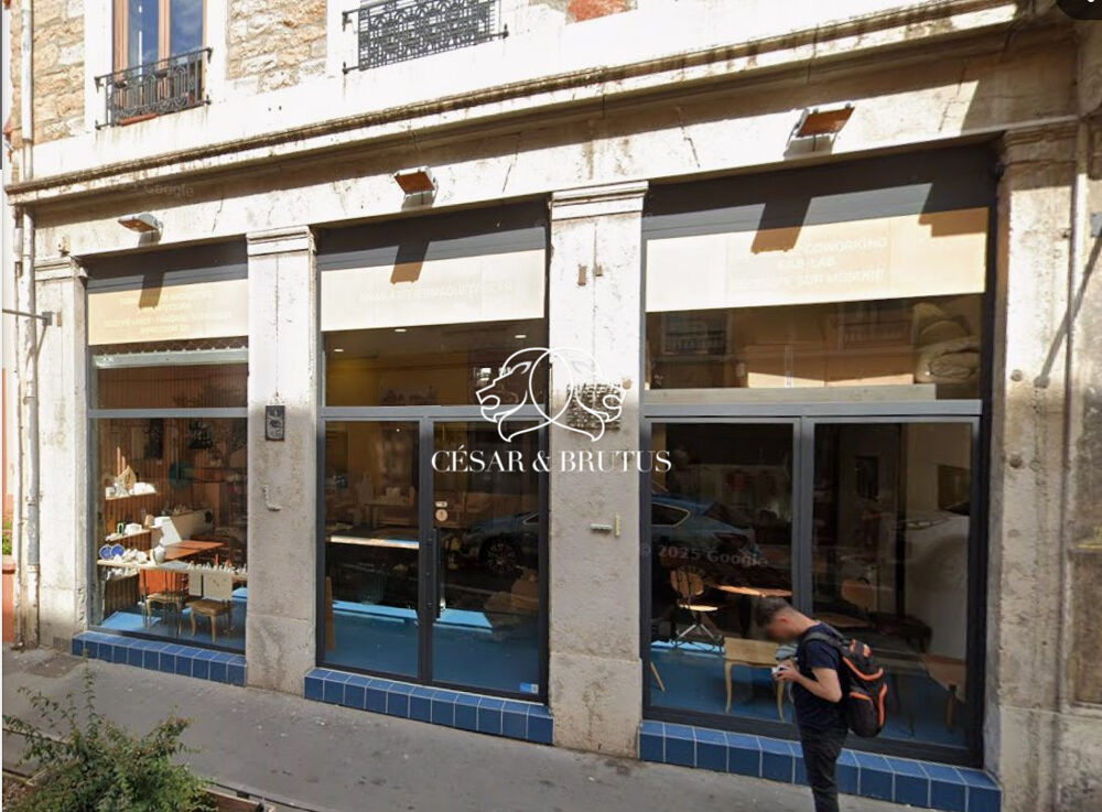  Immobilier Professionnel à louer Lyon 