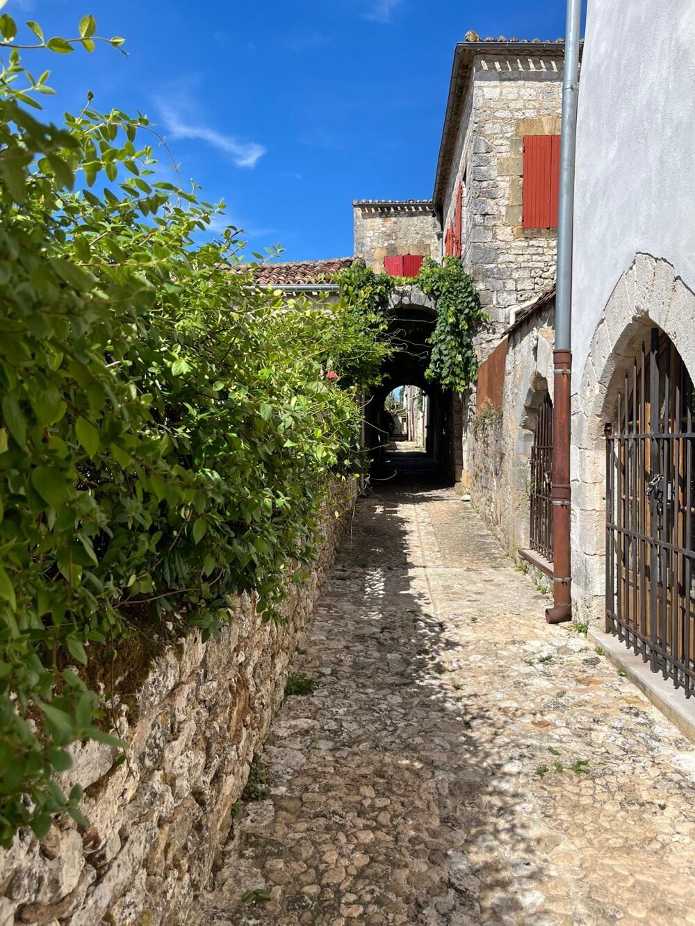 Vente Maison Hôtel Particulier de prestige au coeur de Monpazier Monpazier
