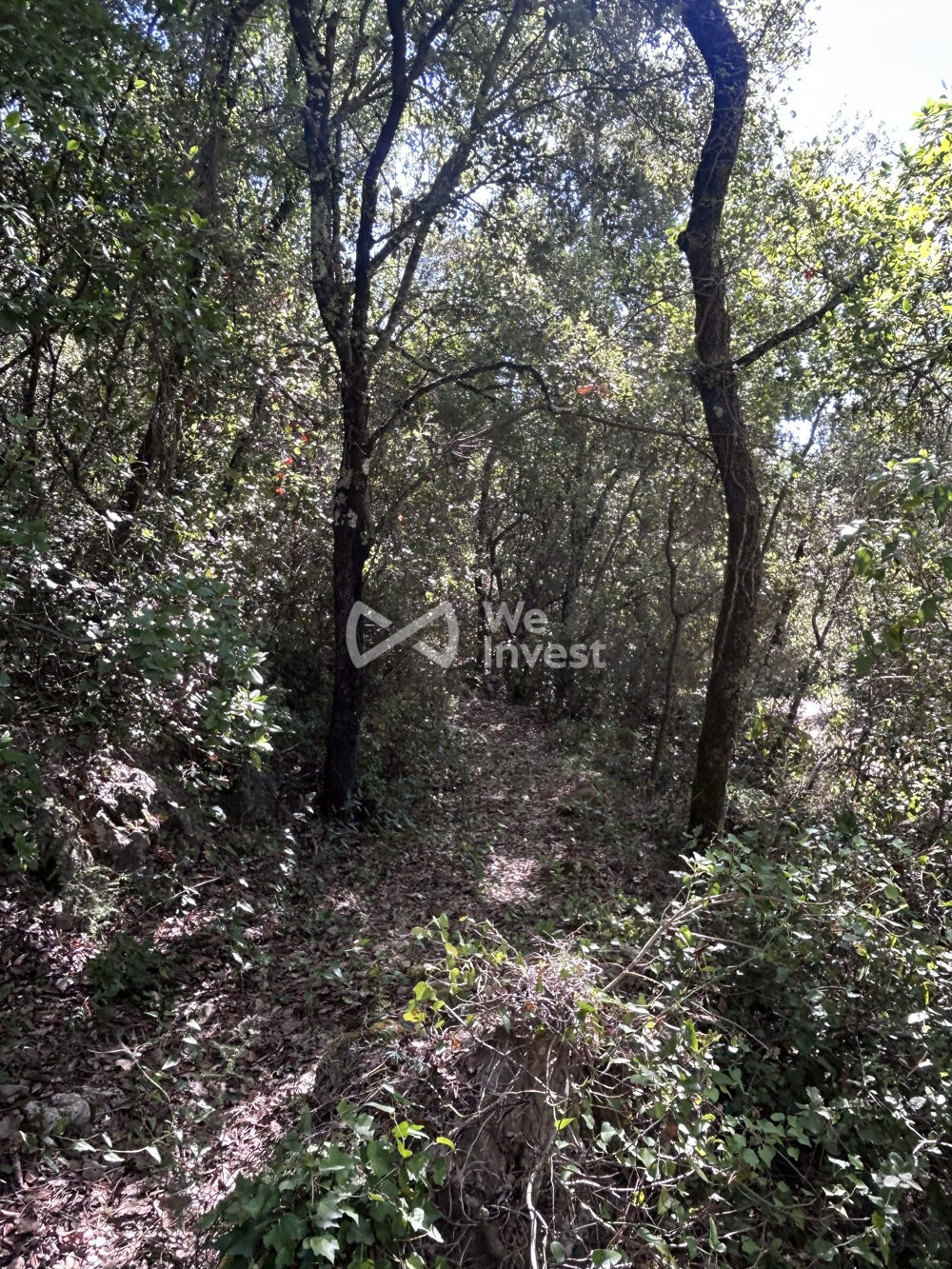 Vente Terrain À vendre – Terrain en zone naturelle – Camps-la-Source (831 Camps-la-source