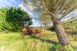  Terrain à vendre 1600 m²