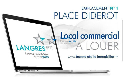 Immobilier Professionnel &agrave; louer Langres 1500 52200 Langres