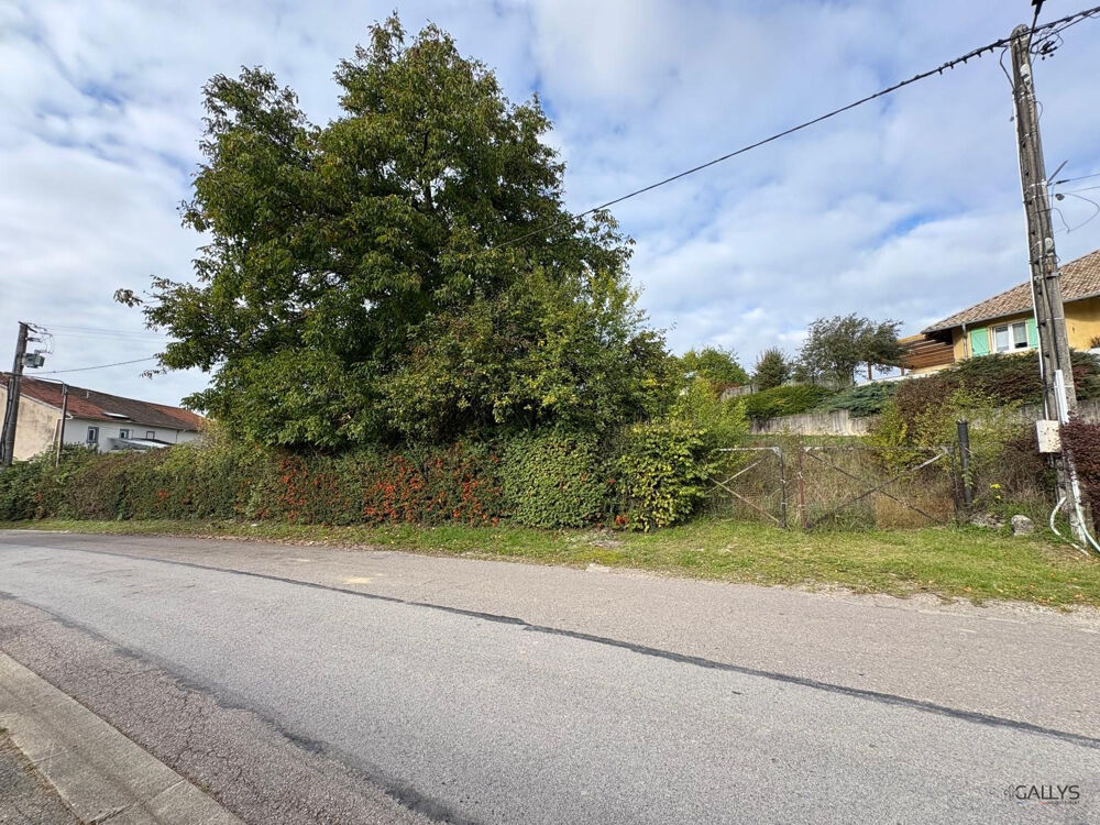 Vente Terrain TERRAIN CONSTRUCTIBLE Marange-zondrange