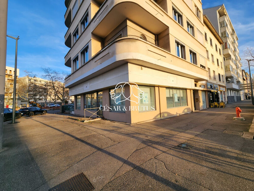   Immobilier Professionnel à vendre Lyon Lyon 8