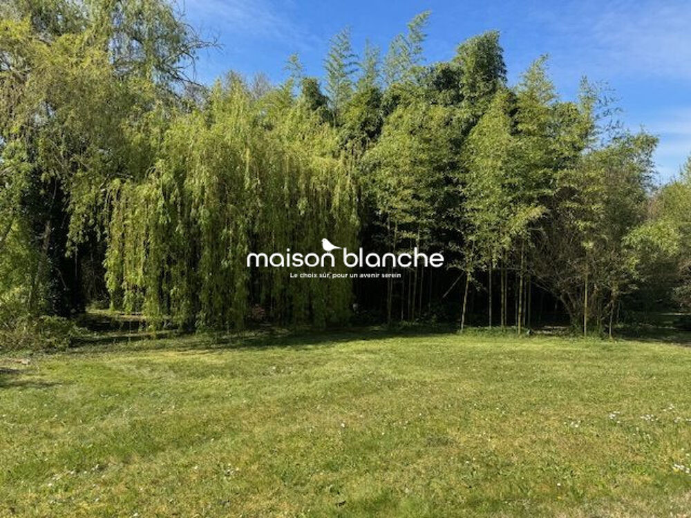Maison lumineuse avec piscine  10 000 m² de terrain  Saum