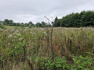  Terrain � vendre 10461 m�