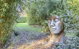  Maison � vendre 15 + pi�ces 423 m�