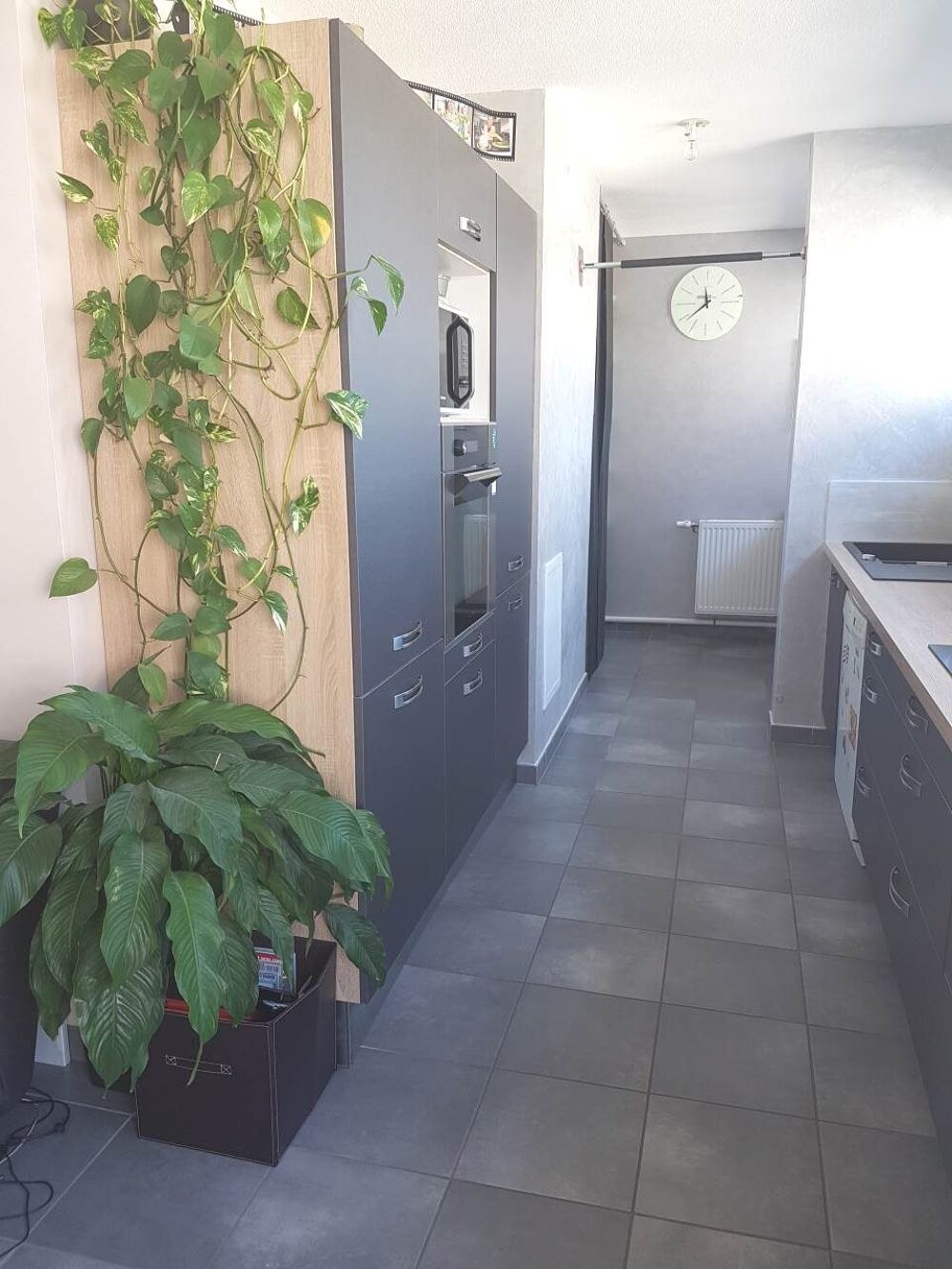 Location Appartement Appartement à louer Grenoble Grenoble