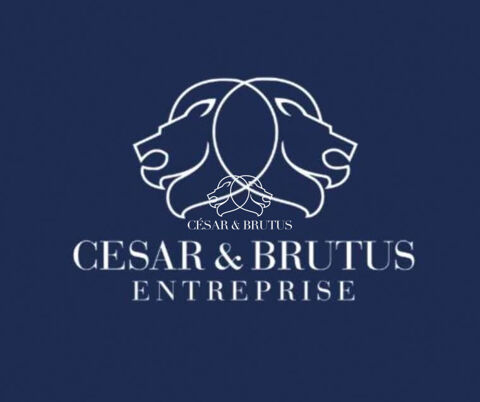 CESSION DE DROIT AU BAIL � LYON 1er � SECTEUR H&Ocirc;TEL DE VILL 30000 69001 Lyon