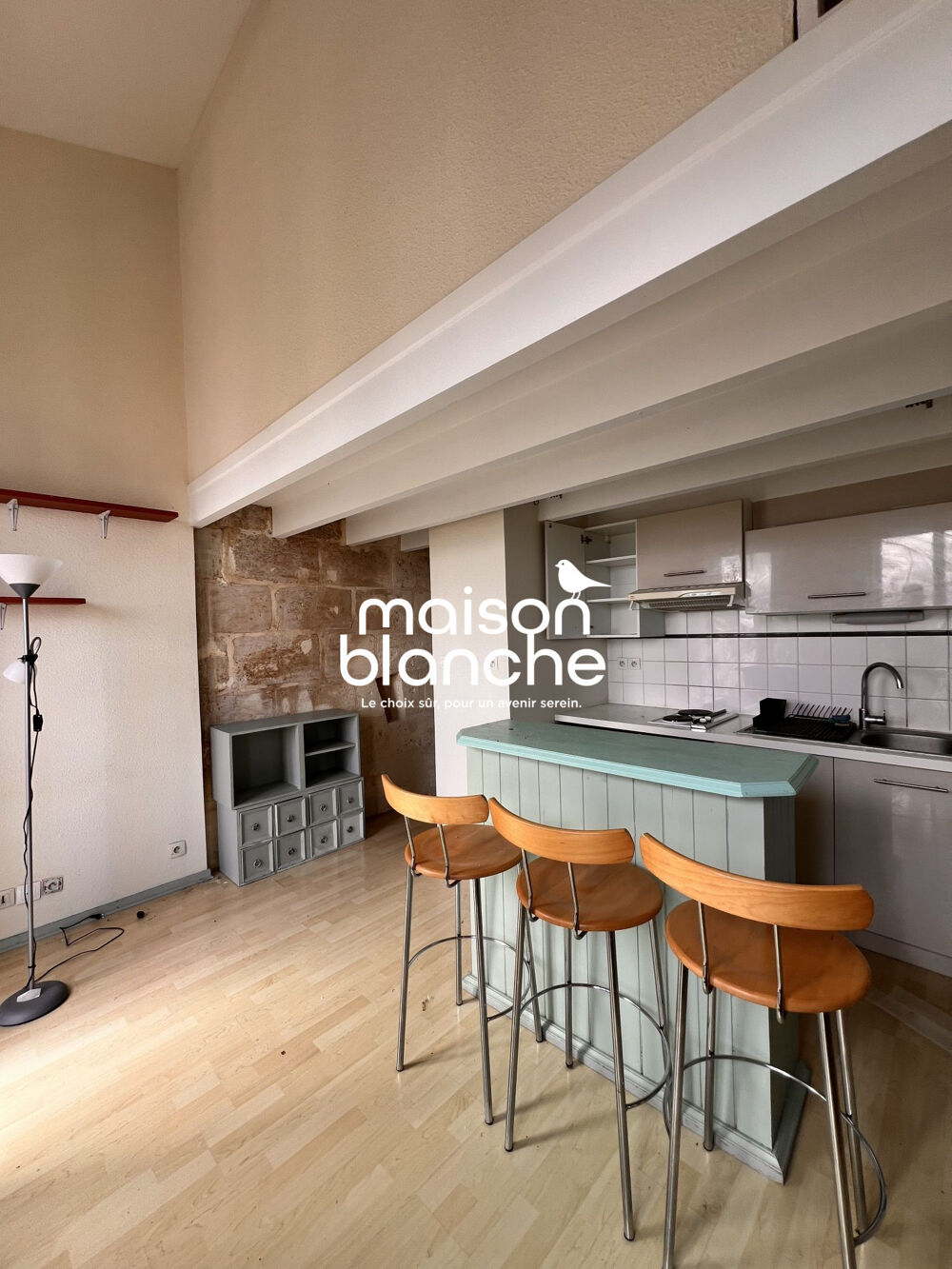 Location Appartement DUPLEX LUMINEUX BORDEAUX CENTRE Bordeaux