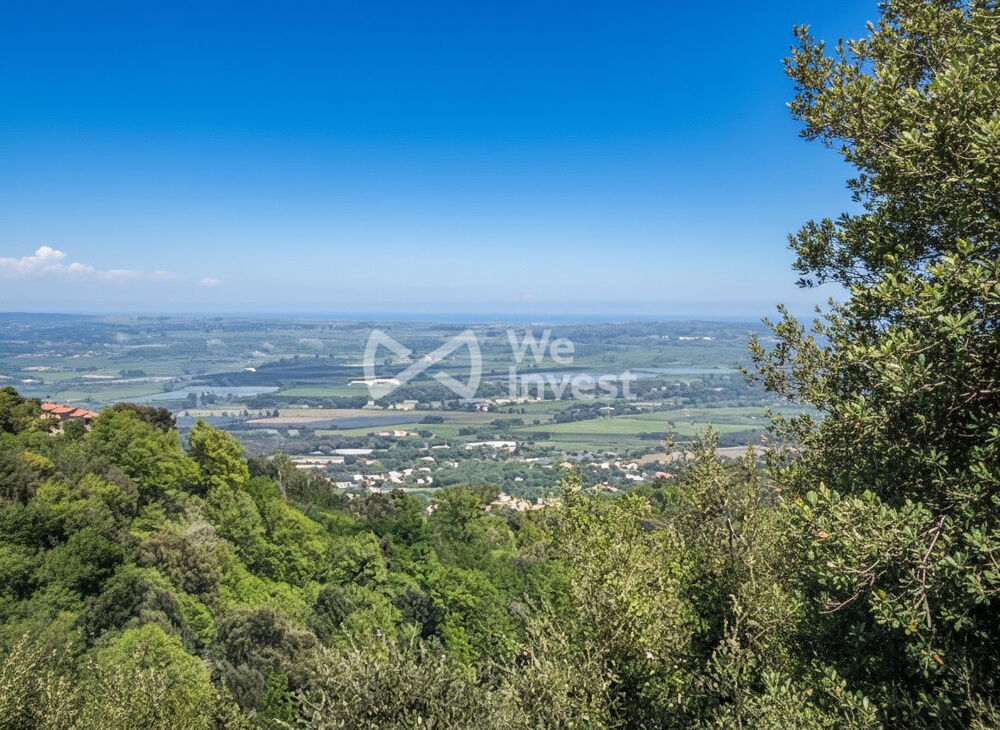 Vente Terrain OPPORTUNITÉ RARE – TERRAIN CONSTRUCTIBLE AVEC PERMIS PURGÉ | Penta-di-casinca