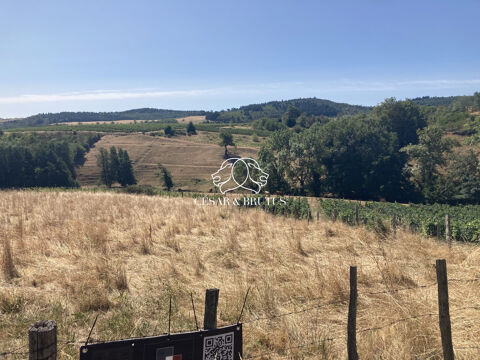   Terrain agricole 