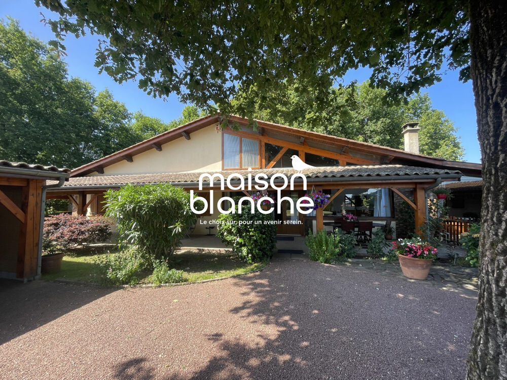 Vente Maison Maison familiale + Maison louée + possibilités chambres d'hôt Saint-Émilion