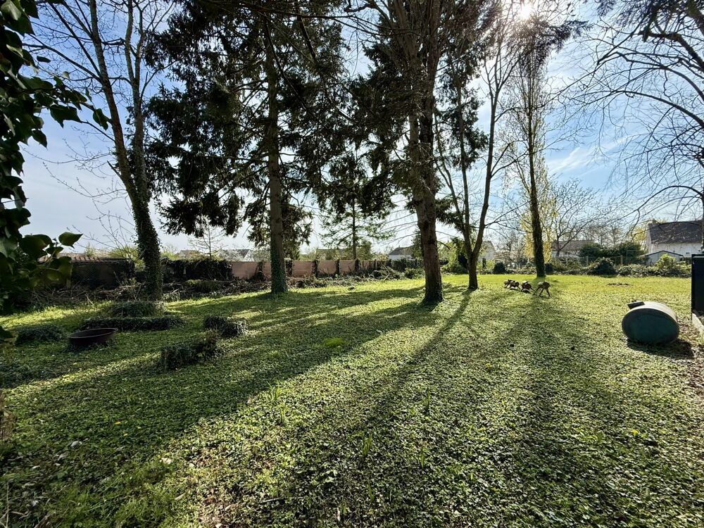 Vente Terrain Terrain constructible dans le bourg de Chaingy Chaingy