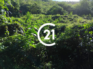  Terrain � vendre 3031 m�