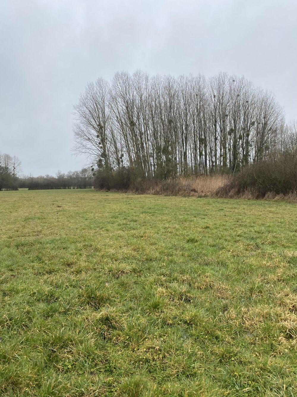   Terrain à vendre Château-la-Vallière 