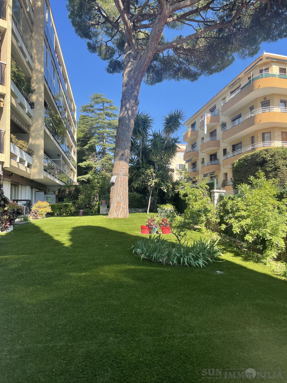 APPARTEMENT RDJ EXCEPTIONNEL