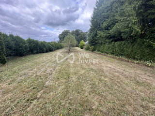  Immeuble � vendre 590 m�