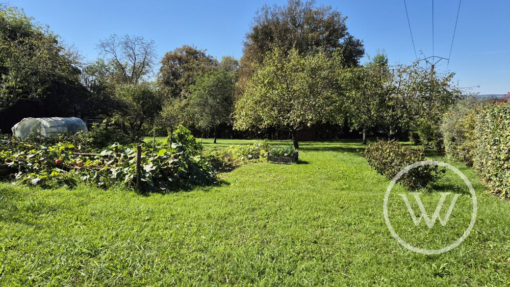 Vente Terrain Magnifique terrain de 26 ares avec 12 ares constructible hors lo Cussey-sur-l'ognon