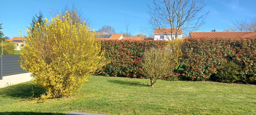 Vente Maison Maison individuelle Maulévrier