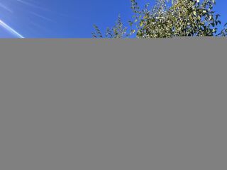  Appartement � vendre 2 pi�ces 45 m�