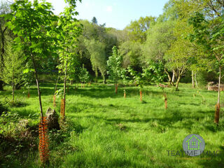  Terrain à vendre 7138 m²