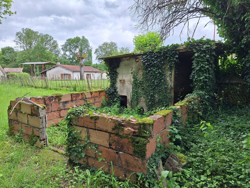 Vente Maison Maison à rénover avec jardin. Montauriol
