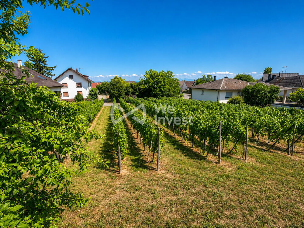 Vente Terrain Terrain constructible Wettolsheim Wettolsheim