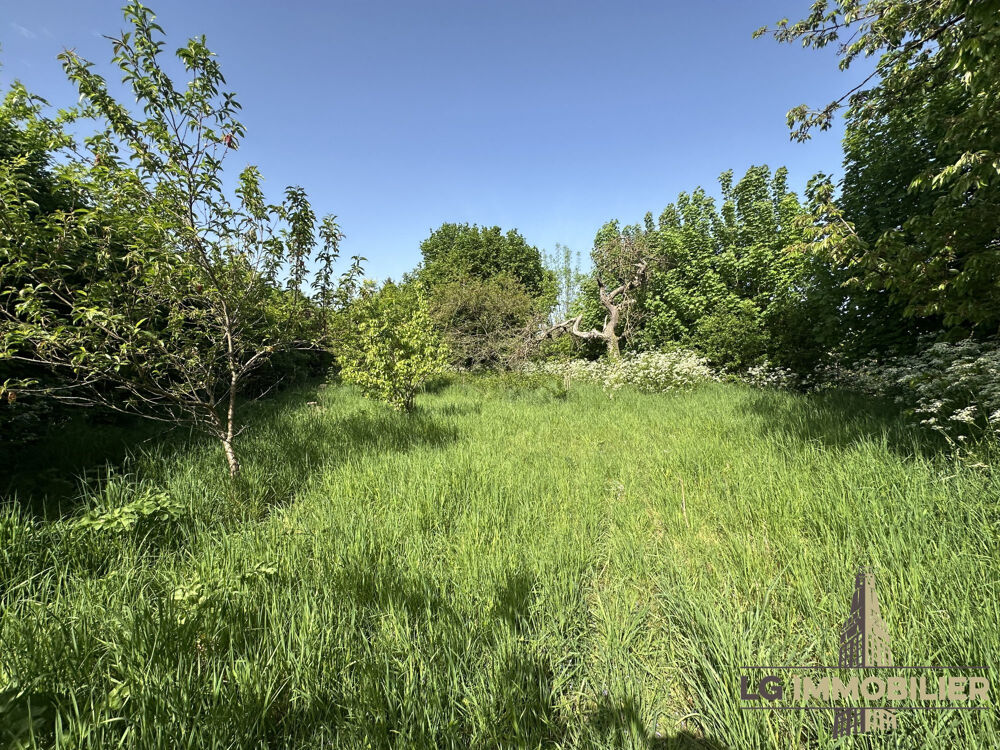 SAINT-SAUFLIEU - MAISON DE CAMPAGNE AVEC JARDIN ET DEPENDANCES