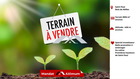 terrain constructible 9916 m&sup2; Bois de N&egrave;fles Saint Paul 1207500 97411 Saint-paul
