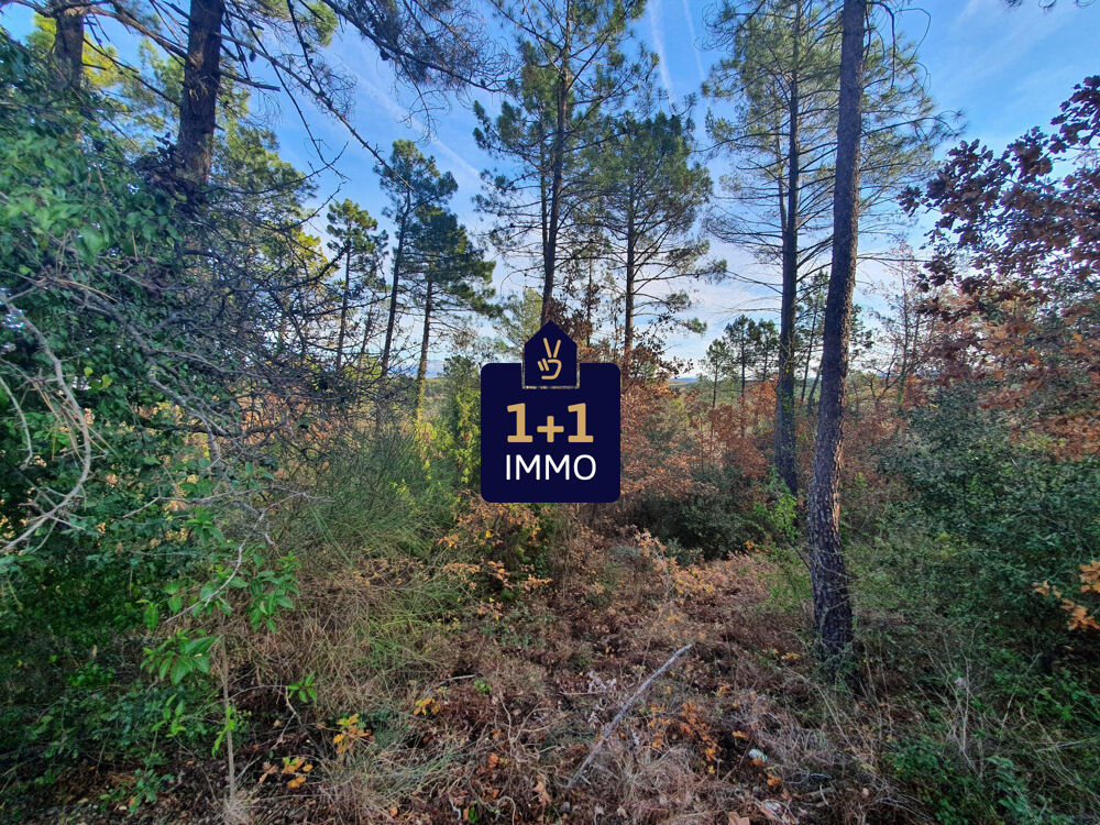 Vente Terrain Magnifique terrain Saint-paul-en-for�t