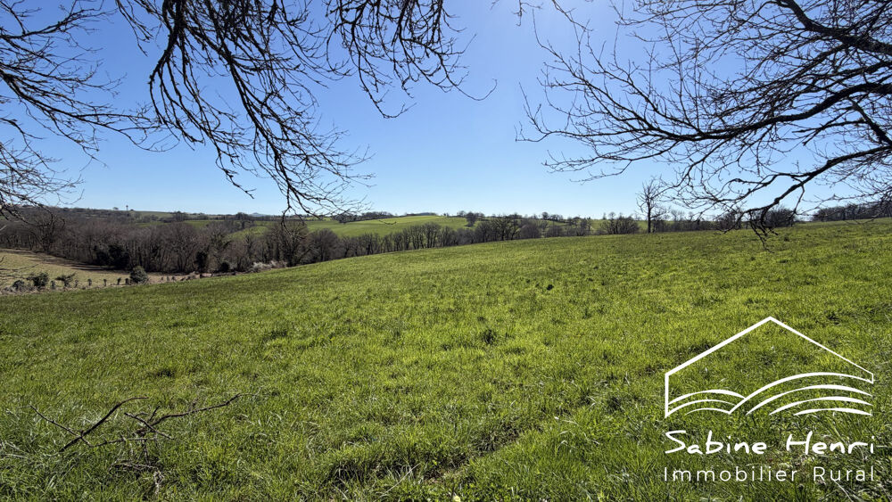 Vente Maison Corps de ferme sur plus 1ha Mirandol-bourgnounac