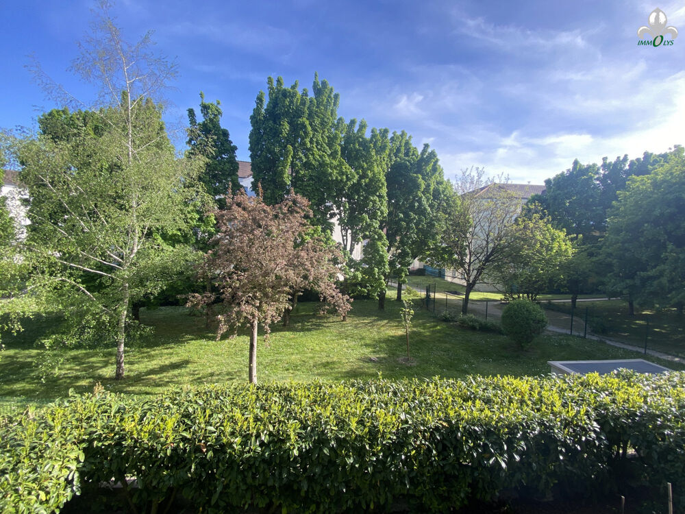 TOISON D'OR