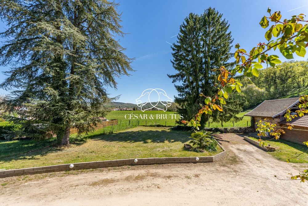 Vente Maison Maison en pierre rénovée – 214 m² habitables – piscine ch Chozeau
