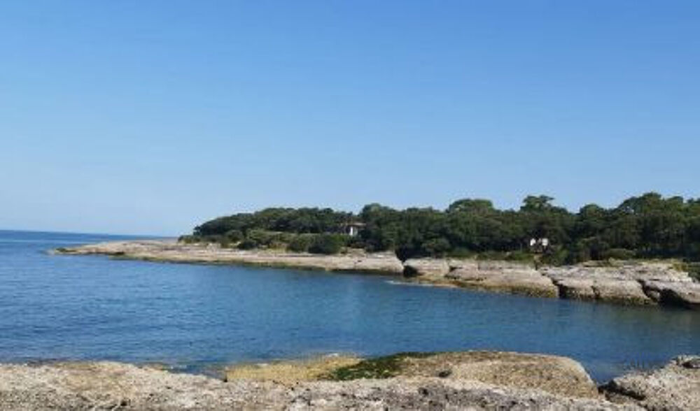 Vente Appartement T2 Rez-de-chaussée Vaux-sur-mer