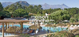  Appartement � vendre 1 pi�ce 17 m�