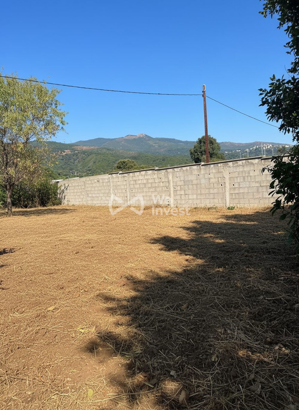Vente Maison SECTEUR ÉCONOMIQUE, LUCCIANA (HAUTE-CORSE) Lucciana