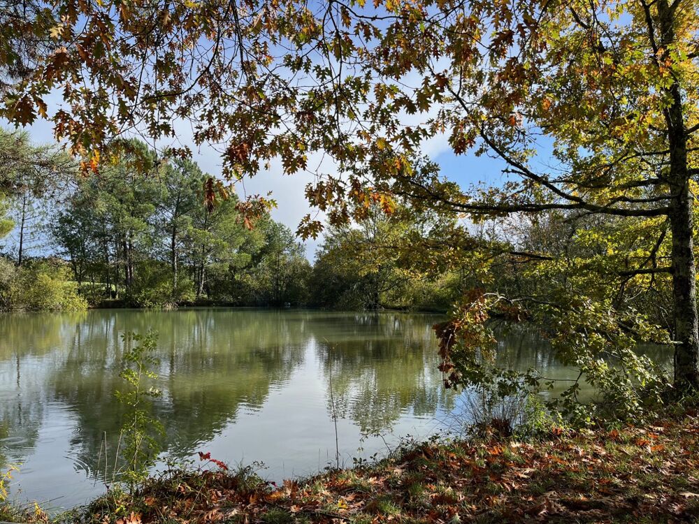 Vente Maison Propriété de charme à 15 minutes de Bergerac Campsegret