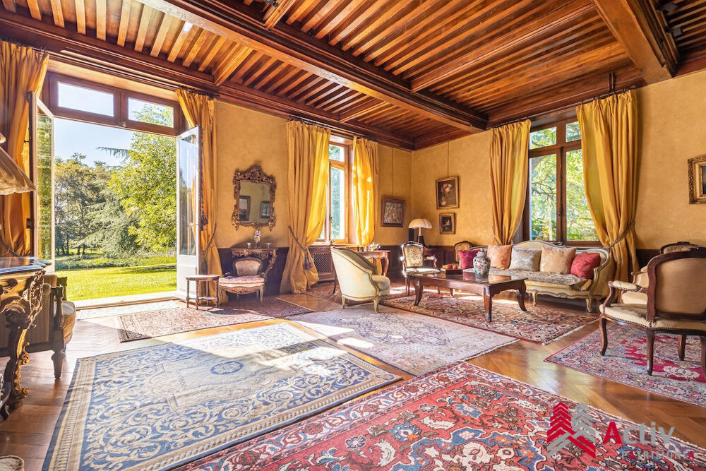 � vendre  Propri�t�/ch�teau Viriat (01440)