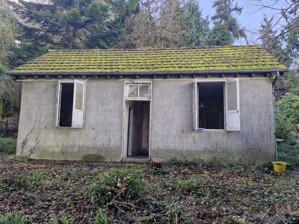 Vente Terrain BOIS Torigny-les-villes