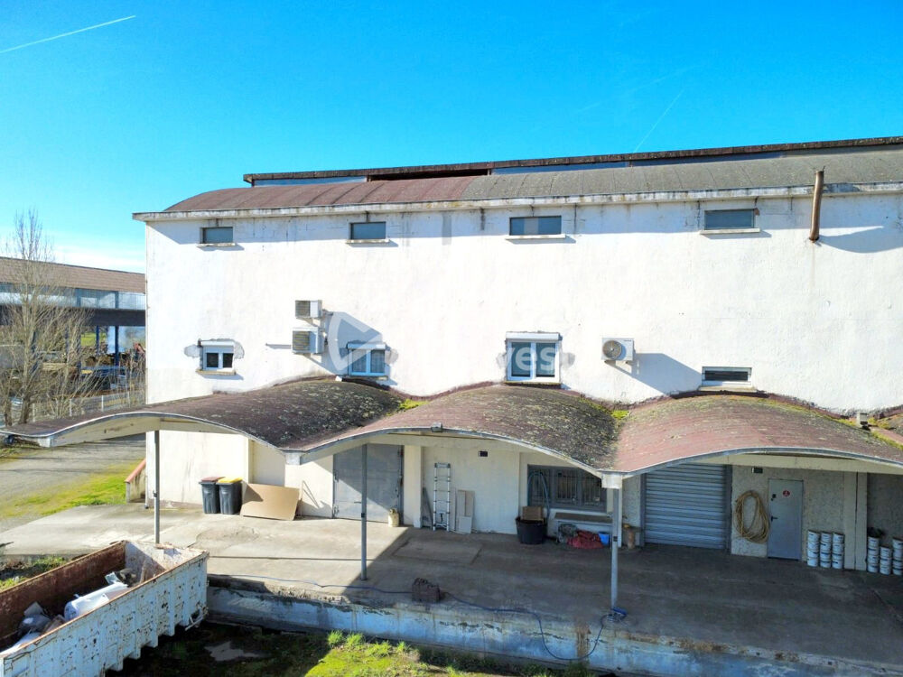   Immobilier Professionnel à vendre Villaudric 