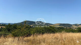  Terrain � vendre 418 m�