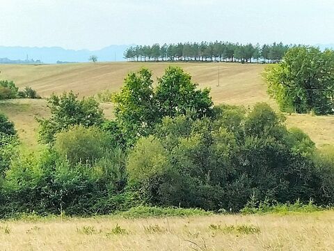 PROCHE AIGNAN (32) PROPRIETE AGRICOLE 27 Ha AVEC BATIMENTS et HA 209900 32290 Margouët-meymes