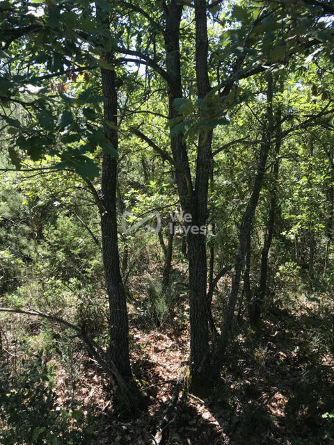   Varages – Terrain non constructible de plus de 13 hectares 