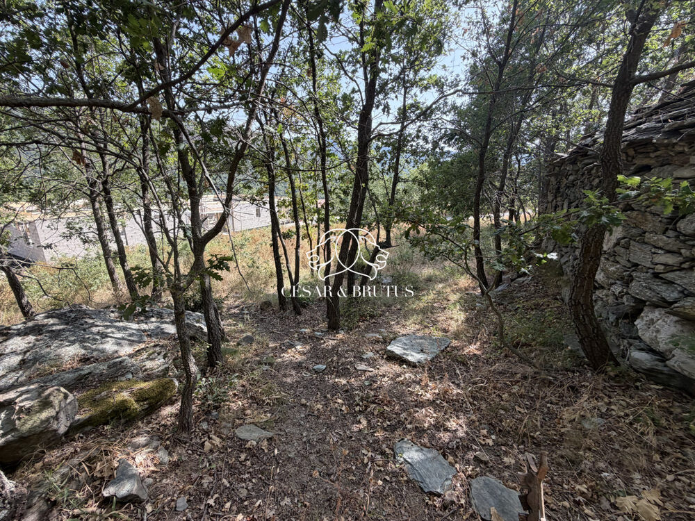Vente Terrain TERRAIN CONSTRUCTIBLE A MURATO Murato