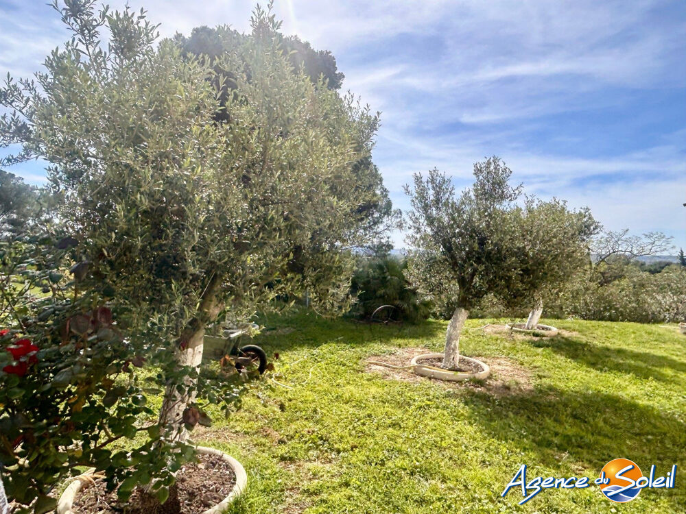 à vendre  Maison Armissan (11110)