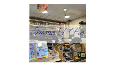 magnifique civette 78 578000  Yvelines