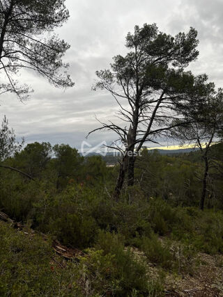  Terrain � vendre 14680 m�