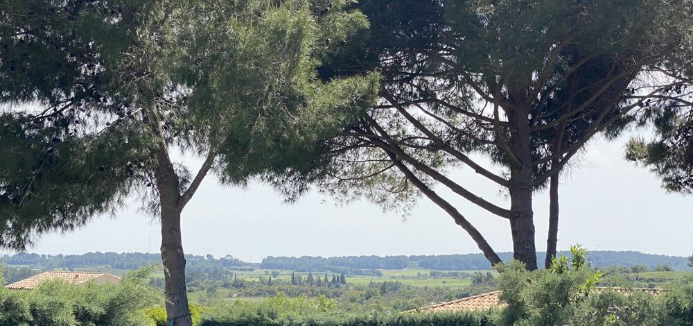 Vente Maison Villa de plain-pied sur sous-sol avec piscine Creissan