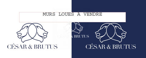 Immobilier Professionnel &agrave; vendre Lyon 412720 69003 Lyon